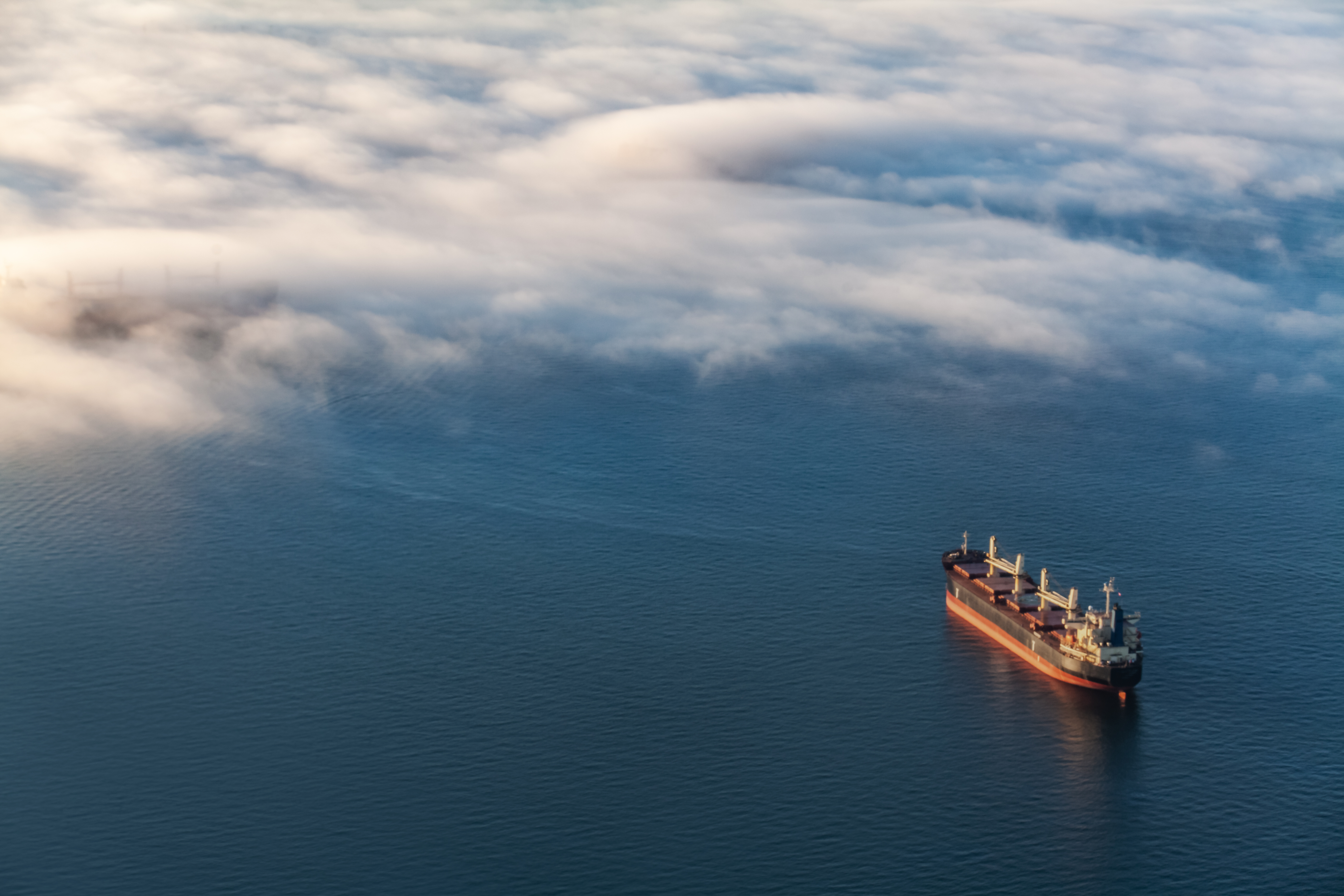 ACE Shipbrokers Network
